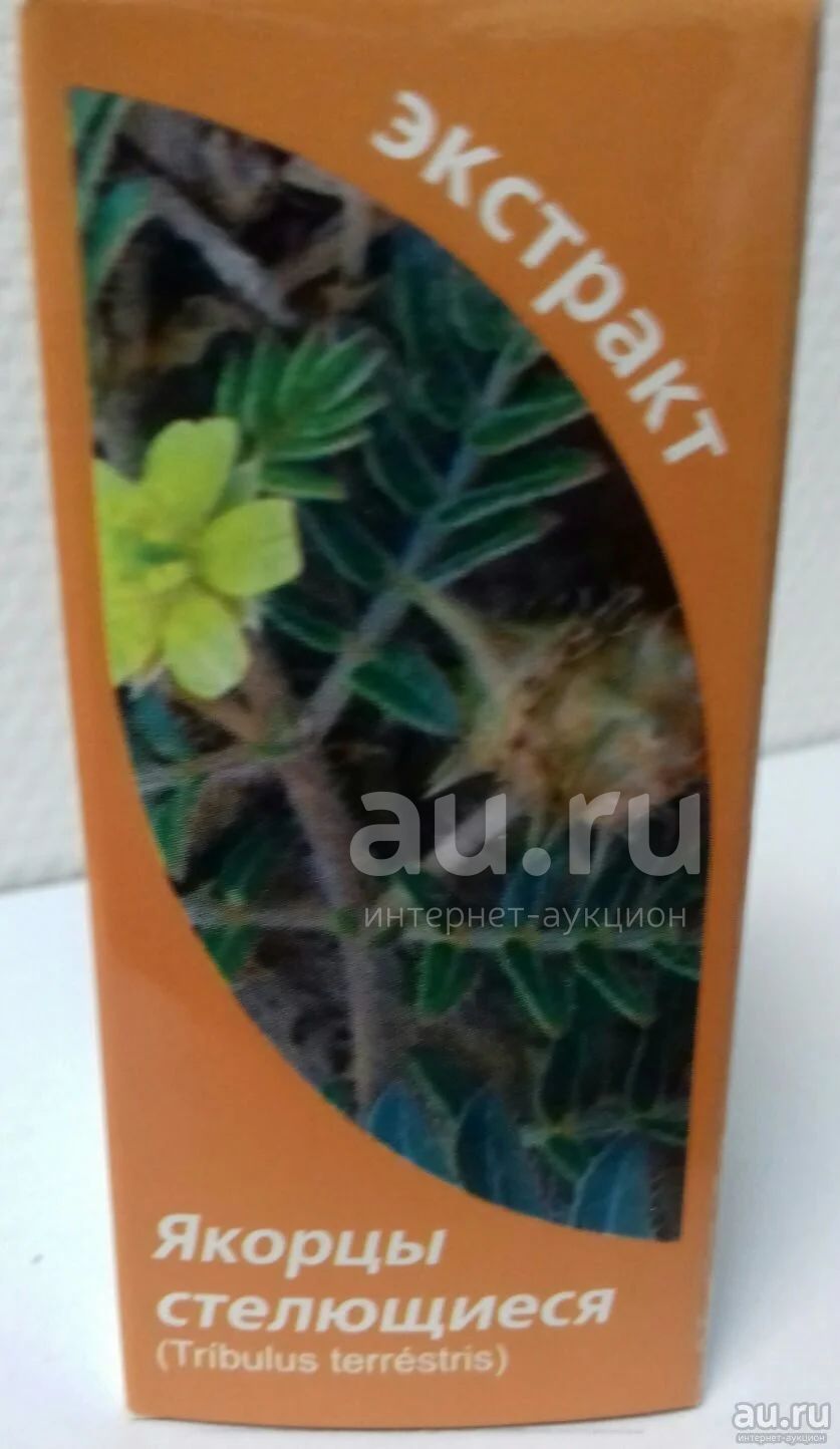 Якорцы Стелющиеся Купить В Аптеке Цена Гомель