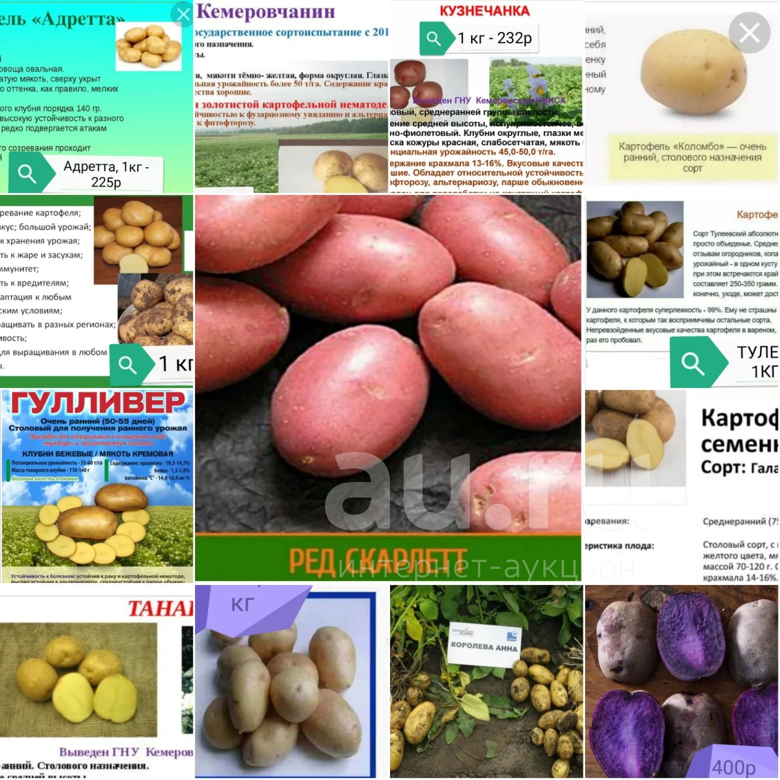 Адретта картофель характеристика и описание сорта фото. Реестр сортов картофеля. Танай картофель характеристика. Кемеровчанин картофель характеристика. Картофель Тулеевский описание сорта.