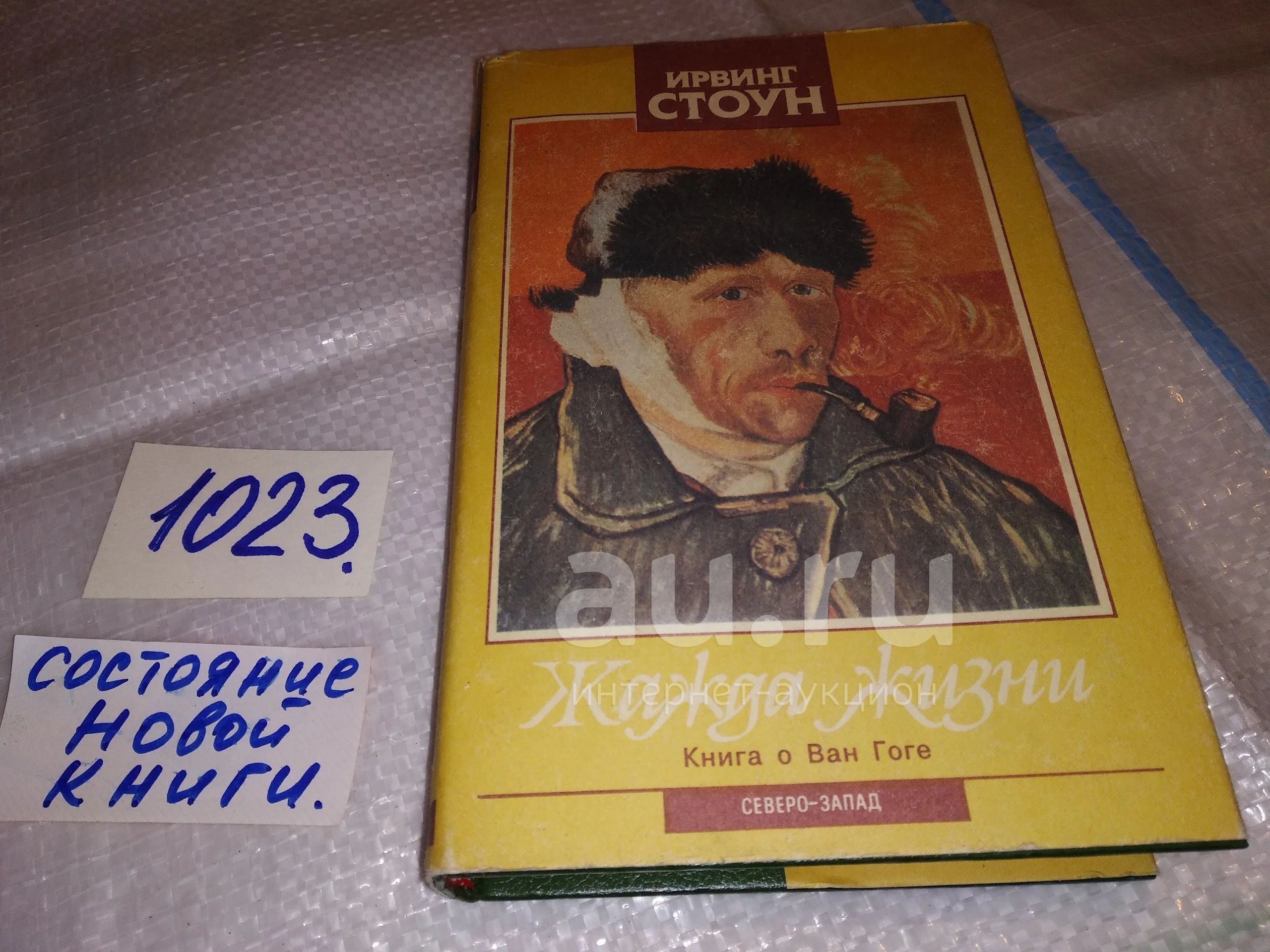 Ирвинг стоун аудиокниги. Ирвинг Стоун "жажда жизни". Жажда жизни книга. Достойные моих гор Ирвинг Стоун. Ирвинг Стоун 10 том содержание.