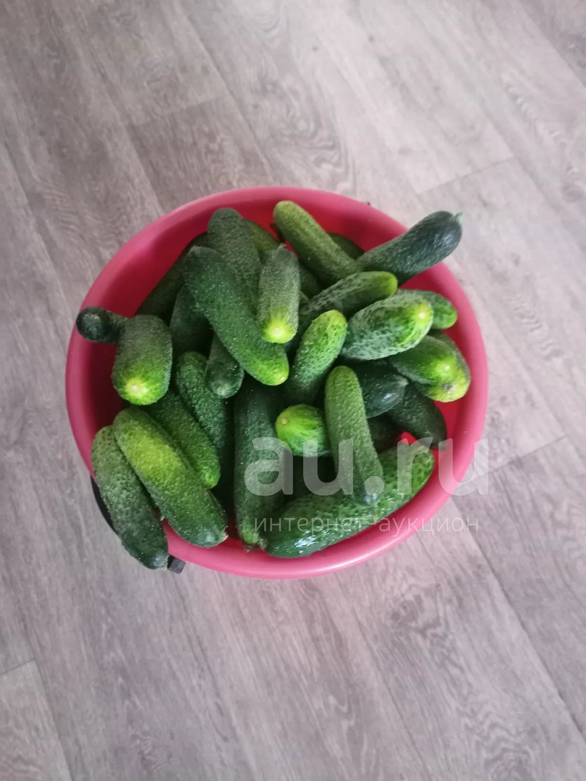 Огурцы — купить в Красноярске. Овощи, фрукты, зелень на интернет ...