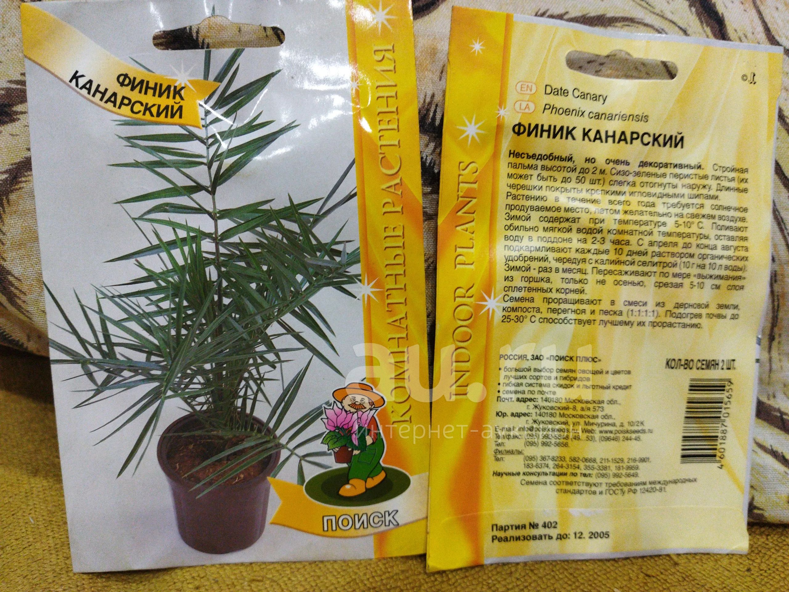 Семена — купить в Красноярске. Декоративные кустарники и деревья на ...