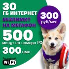 500 минут на номера РФ + Безлимит на Мегафон + 30 Гб = 300 руб/мес!
