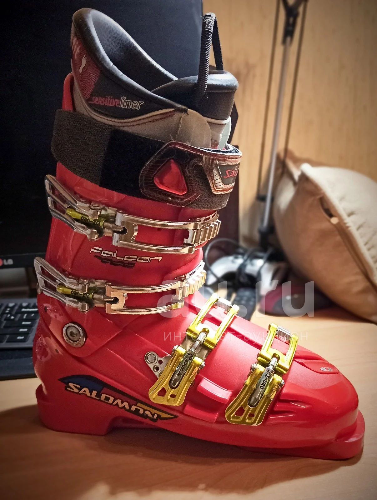 Salomon falcon 2024