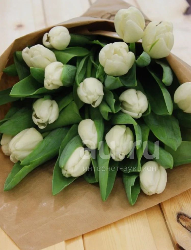 Шикарный букет из 11 белых тюльпанов!!! — купить в Красноярске. Свежие  цветы на интернет-аукционе Au.ru