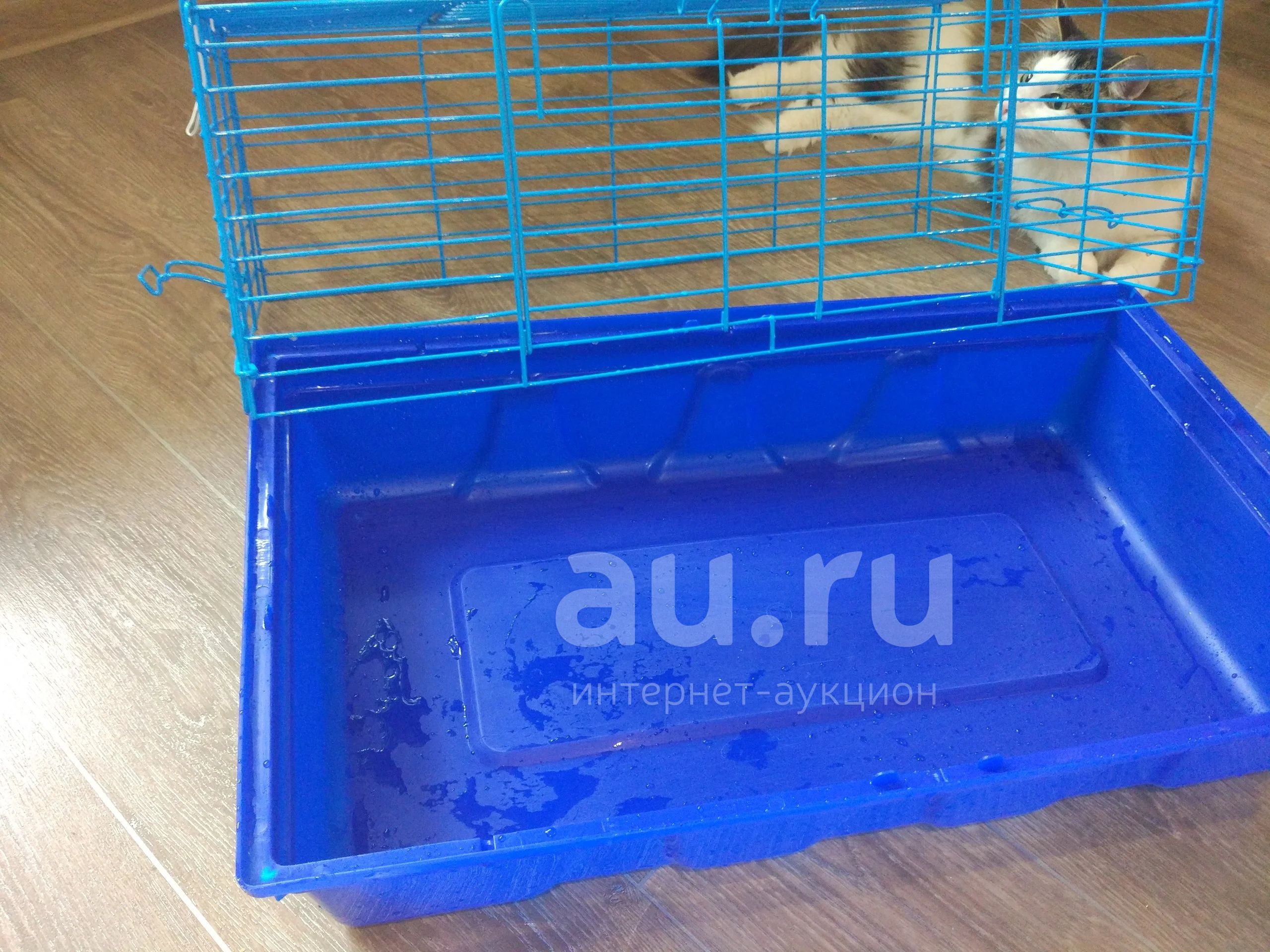 Клетка для морской свинки — купить в Красноярске. Состояние: Б/у ...