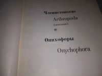 Лот: 19490235. Фото: 5. Жизнь животных в 6 томах, В наличии...