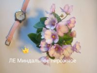 Лот: 16859079. Фото: 8. Фиалка сортовая ЛЕ Карусель, Коричная...