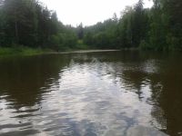Лот: 12791892. Фото: 11. Продается дом 28 кв.м. 7 сот...