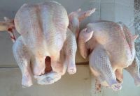 Лот: 16503834. Фото: 2. Индюк домашний опаленый. Продукты