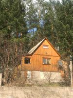 Лот: 16285649. Фото: 7. Загородный дом в сосновом бору