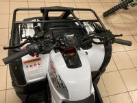 Лот: 16725908. Фото: 5. KAYO BULL-2B