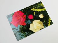 Лот: 23296570. Фото: 2. Красная и белая розы. Открытка... Открытки, билеты и др.