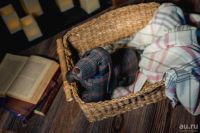 Лот: 9859682. Фото: 11. Интерьерные игрушки, игрушки в...