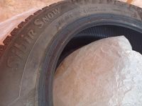 Лот: 16634384. Фото: 5. Шины зимние Matador MP 54 Sibir...
