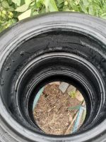 Лот: 16206342. Фото: 6. Tunga Zodiak 2