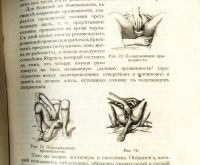 Лот: 20045026. Фото: 19. Н.С. Киселев. Краткий курс акушерства...