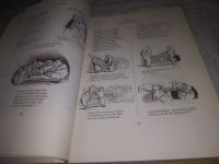 Лот: 23600531. Фото: 7. oz меш. (2092317) Das dicke Busch-Buch...