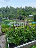 Лот: 25286013. Фото: 12. 2-комн. дача , посёлок Мир посёлок...