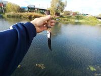 Лот: 13207984. Фото: 5. Нож рыбака " Кузмич "