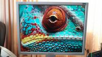 Лот: 25761806. Фото: 5. 21" Монитор Samsung SyncMaster...