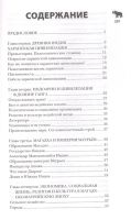 Лот: 19075570. Фото: 2. "Индия. Полная история страны... Общественные и гуманитарные науки