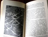 Лот: 19898294. Фото: 3. Родиола розовая - ценное лекарственное... Литература, книги