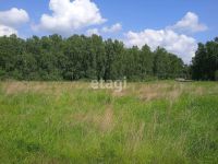 Лот: 25295127. Фото: 7. участок , деревня Киндяково деревня...
