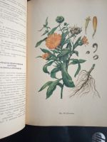 Лот: 16946716. Фото: 2. Турова А.Д. Лекарственные растения... Медицина и здоровье