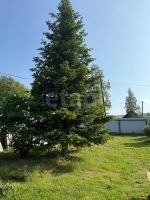 Лот: 25516651. Фото: 19. дача , посёлок Снежница Радужная...