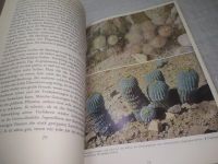 Лот: 25347053. Фото: 9. (2092322)Das praktische kakteenbuch...