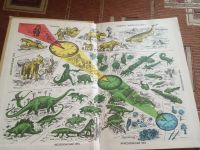 Лот: 17832977. Фото: 2. Общая биология 10-11 класс 1989... Учебники и методическая литература