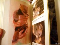 Лот: 8654506. Фото: 4. Книга " Домашние животные" (2... Красноярск