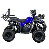 Лот: 25659096. Фото: 7. Квадроцикл STALKER 125
