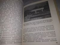 Лот: 21164714. Фото: 4. oz(1092333) Александрова В. П... Красноярск