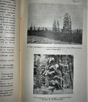 Лот: 20663785. Фото: 15. Л.И. Прасолов. Южное Забайкалье...