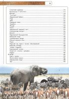 Лот: 25274234. Фото: 5. "Животные " Любовь Вайткене, Елена...