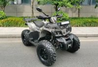 Лот: 25650241. Фото: 2. Квадроцикл MOTAX ATV Grizlik T200... Мототехника