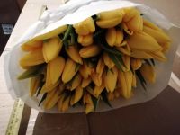 Лот: 9157759. Фото: 9. Тюльпаны к 8 марта с доставкой...