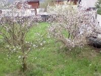 Лот: 3465596. Фото: 4. Земельный участок (ИЖС) ул. Турбаза. Красноярск