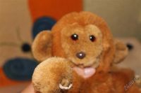 Лот: 2371301. Фото: 2. Обезьяна. Игрушки