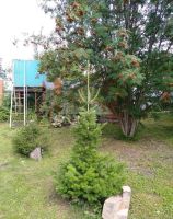 Лот: 14814463. Фото: 14. Продается дом 80 кв.м. 14 сот...
