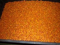 Лот: 3917032. Фото: 2. Облепиха замороженная. Продукты