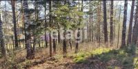 Лот: 25294901. Фото: 6. участок , село Степной Баджей...