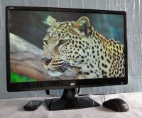Лот: 16336813. Фото: 5. Монитор DNS JL220 диагональ -...