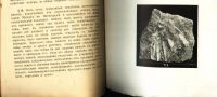 Лот: 18399899. Фото: 17. В.А. Скиндер .Бронза. Ее природа...