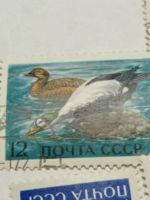 Лот: 19674138. Фото: 5. Марки СССР 1972 г. Фауна морей...