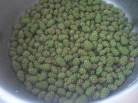 Лот: 5163786. Фото: 3. Варенье из сосновых шишек сбор... Красноярск