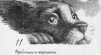 Лот: 25515861. Фото: 4. Лиза Дж. Эдвардс - Пёс по имени...
