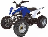Лот: 25740266. Фото: 4. Квадроцикл ABM Scorpion 250. Красноярск