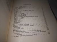 Лот: 25110124. Фото: 3. (3092326)ЖЗЛ, Гулинская З.К. Бедржих... Красноярск